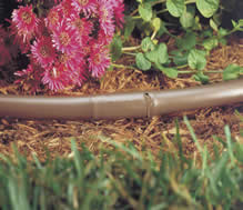 drip line irrigation